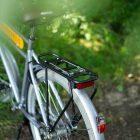 A black rack on a trail with greenery all around.