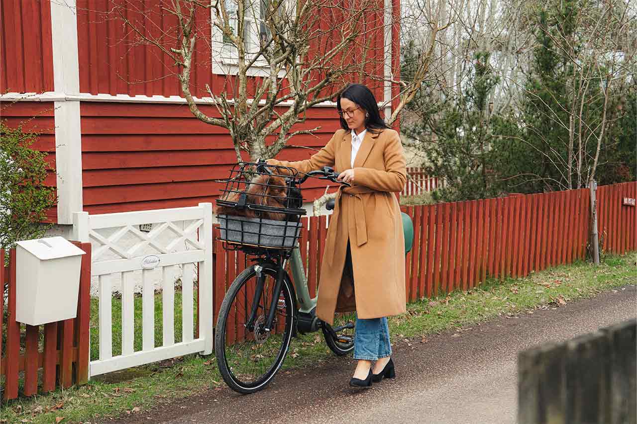 A woman and her two dogs in a bikebasket