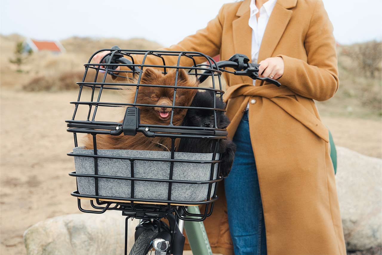 A woman and her two dogs in a bikebasket