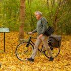 A man walking in a yellow autumn forest with his bicycle. On his shoulder he has a small bicycle bag.