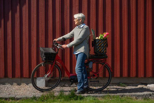 AtranVelo Grocery Shopping By Bike