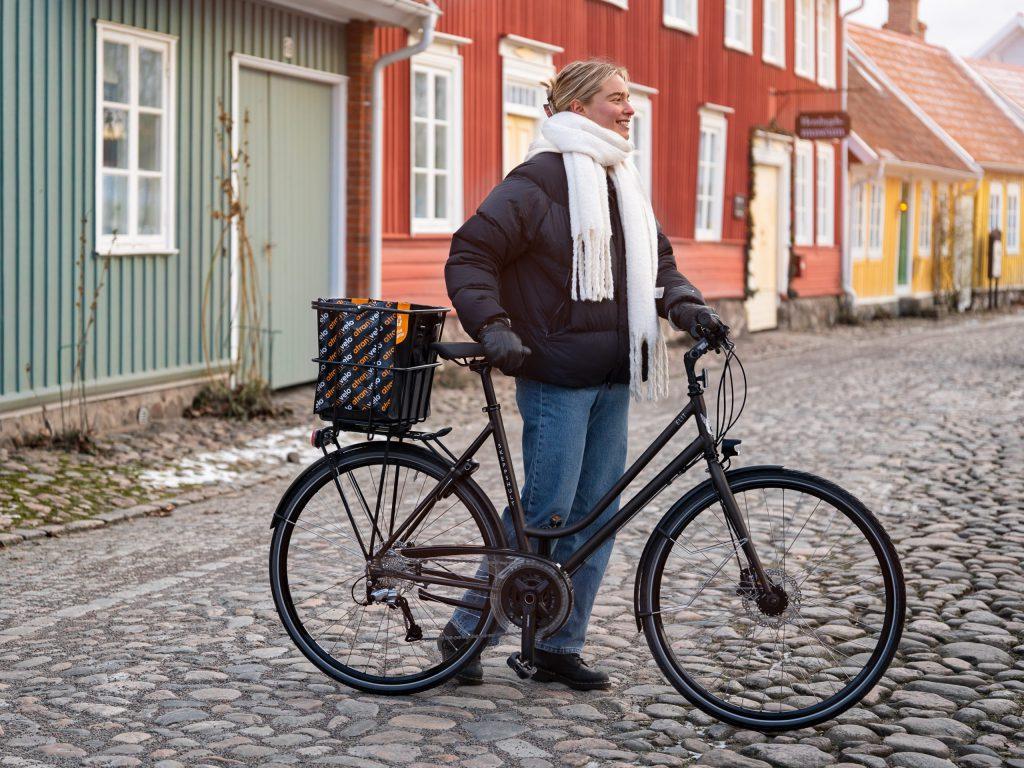 GROCERY Basket for Bikes Ditch Your Car, Shop by Bike AtranVelo