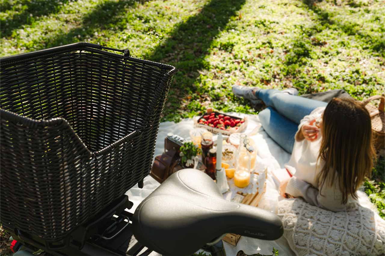 One woman laying in a meadow having a picnic and in front of her you can see a basket on a bike
