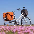 Two orange bags on a bike out at a medow with purple flowers