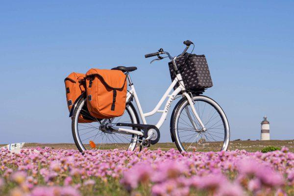 Two orange bags on a bike out at a medow with purple flowers