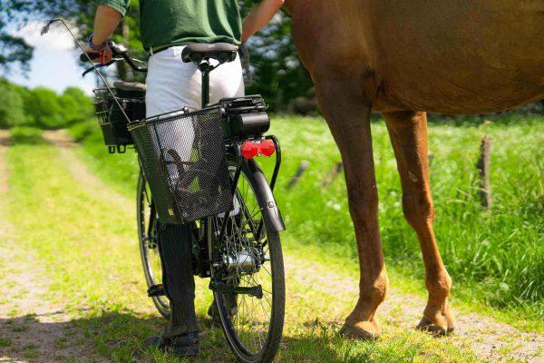 A man starting to bike with a horse, at the side of the bike there is a sidebasket