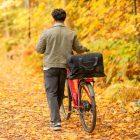 A man walking from behind in a yellow autumn forest, with his bicyle. In the rear carrier he has a big black topbag.