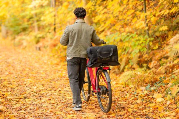 A man walking from behind in a yellow autumn forest, with his bicyle. In the rear carrier he has a big black topbag.