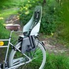 A black rack on a trail with greenery all around. And a childseat on the carrier.